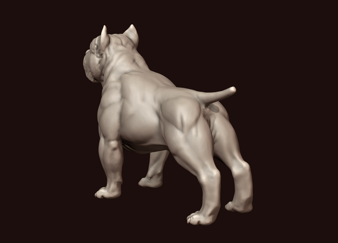 American Bully 3D Print 244979