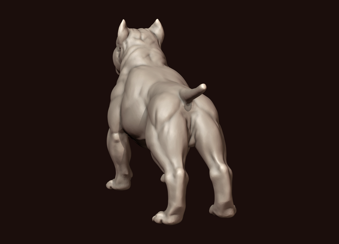 American Bully 3D Print 244980