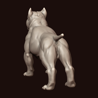 American Bully - Thumbnail 6