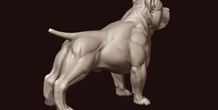 Image 244982