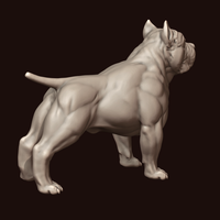 American Bully - Thumbnail 8