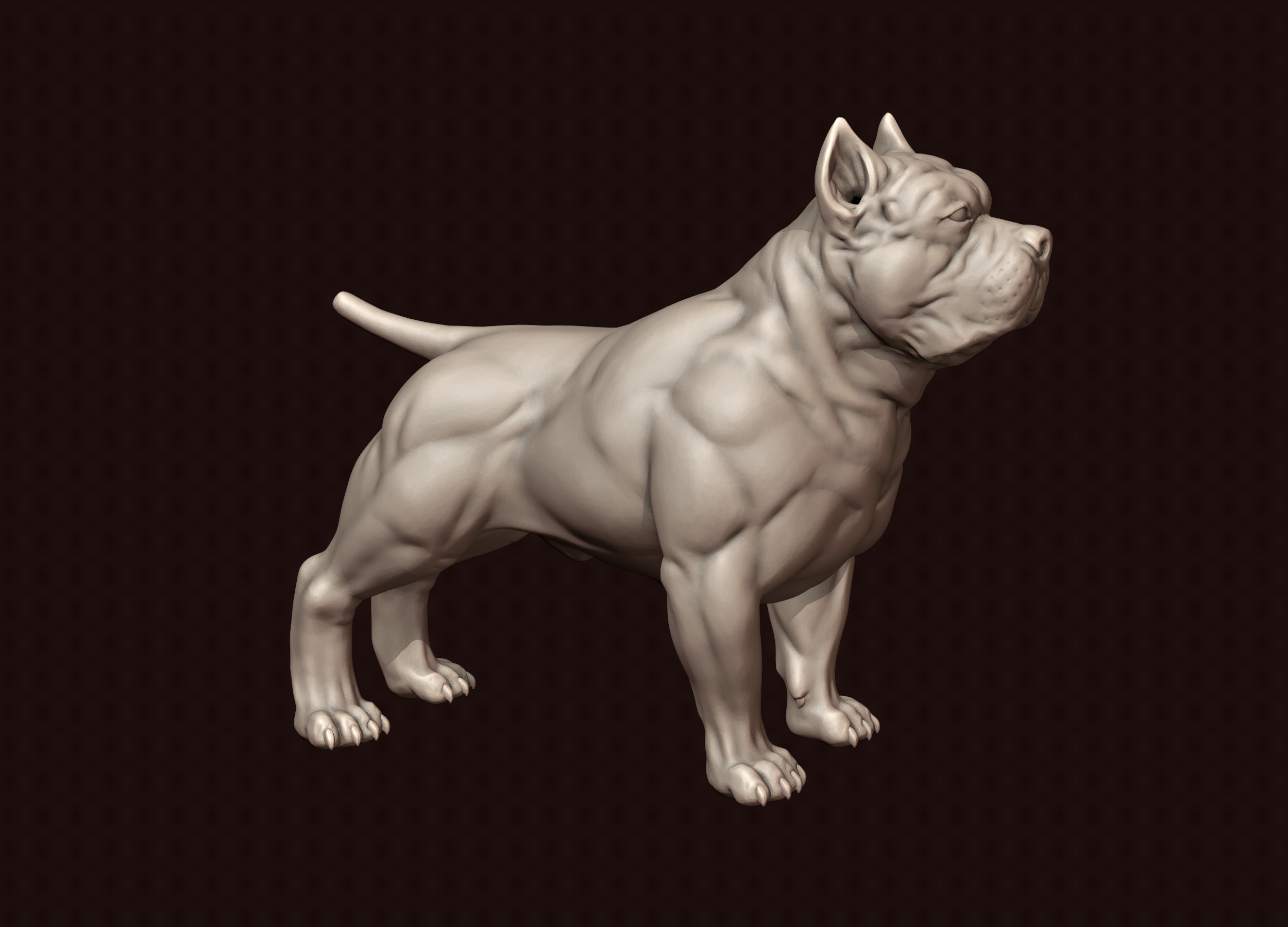 4,061 American Bully Dog American Bully Pit Bull American Images, Stock  Photos, 3D objects, & Vectors