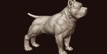 Image 244983