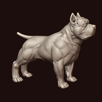 American Bully - Thumbnail 9