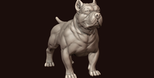 Image 244984