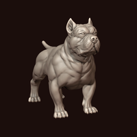 American Bully - Thumbnail 10