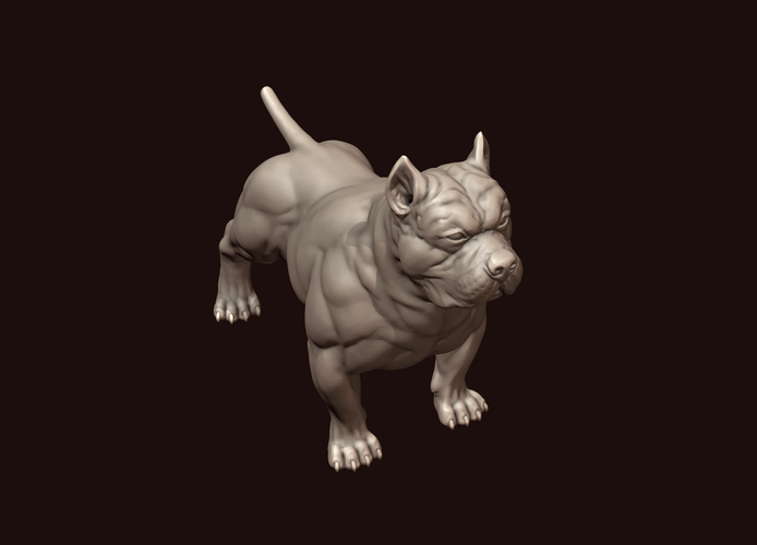 American Bully 3D Print 244985