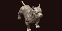 Image 244985