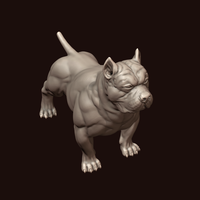 American Bully - Thumbnail 11
