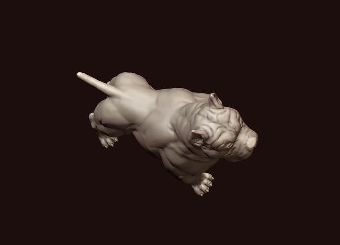 American Bully 3D Print 244986