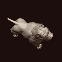 American Bully - Thumbnail 12