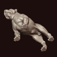 American Bully - Thumbnail 13