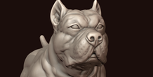 Image 244988