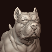 American Bully - Thumbnail 14