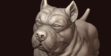 Image 244989