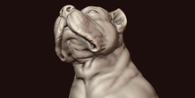 Image 244990