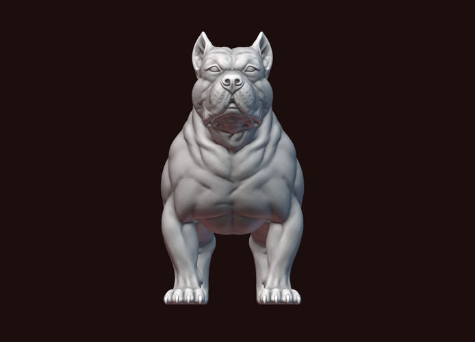 4,061 American Bully Dog American Bully Pit Bull American Images, Stock  Photos, 3D objects, & Vectors