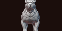 Image 244991