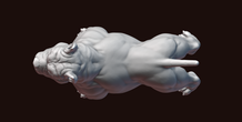 Image 244993