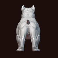 American Bully - Thumbnail 20