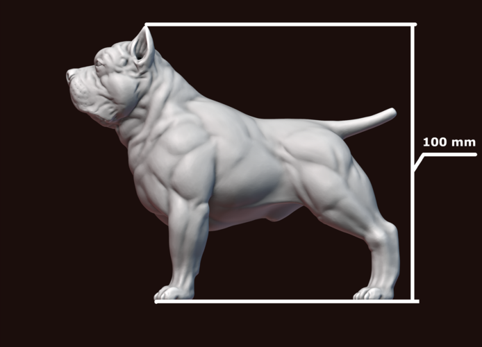 American Bully 3D Print 244996