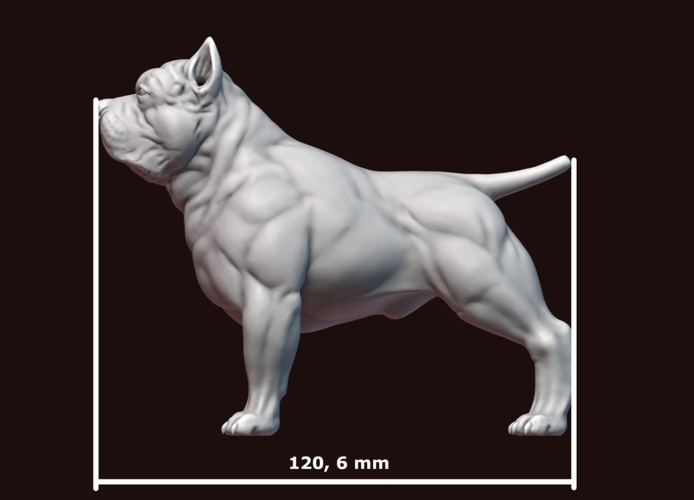 American Bully 3D Print 244997