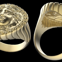 Small medusa ring  3D Printing 245300