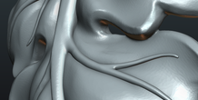 Image 245384