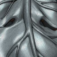 Fig Leaf - Thumbnail 13