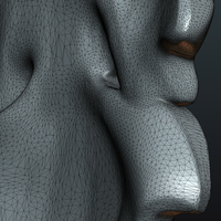 Fig Leaf - Thumbnail 14