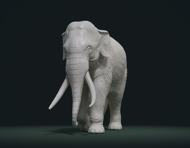 Asian Elephant 3D Print 245482