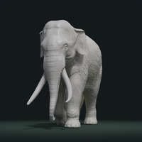 Asian Elephant - Thumbnail 3