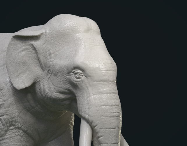 Asian Elephant 3D Print 245483