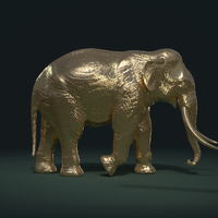 Asian Elephant - Thumbnail 5