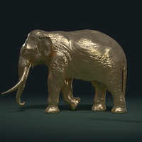 Asian Elephant - Thumbnail 6