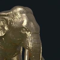 Asian Elephant - Thumbnail 8