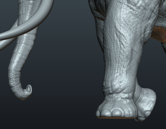 Asian Elephant 3D Print 245494