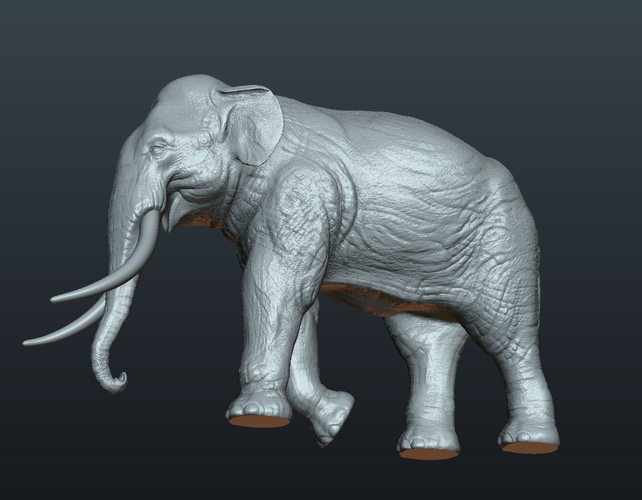 Asian Elephant 3D Print 245496