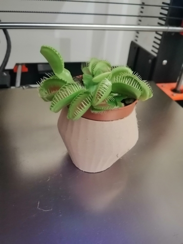 Dionaea Vase 3D Print 245679