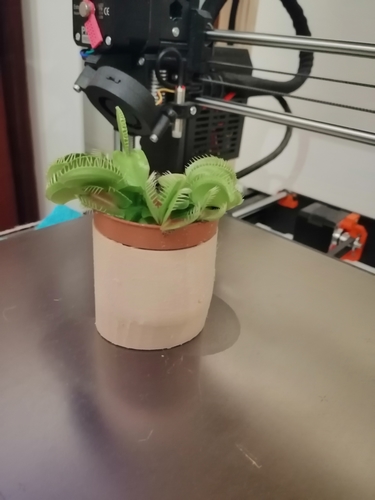 Dionaea Vase 3D Print 245680