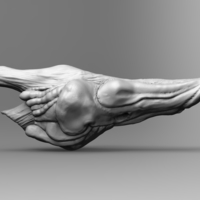 Raptor resonating chamber - Thumbnail 3