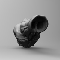 Raptor resonating chamber - Thumbnail 4
