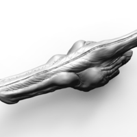 Raptor resonating chamber - Thumbnail 5