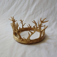 Antler Crown - Thumbnail 1