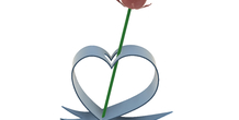Image 246533