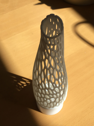 Voronoi Twisted Candle forms 3D Print 246923