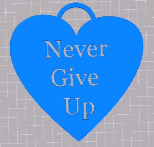 Never Give Up 3D Print 246949