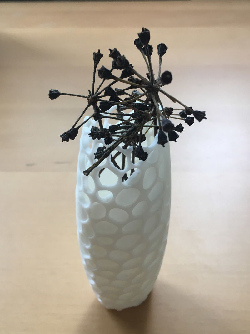 Florero Combinado (Vase combined with Voronoi pattern)
