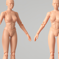 Small Articulated Poseable Female Figure 3D Printing 247420