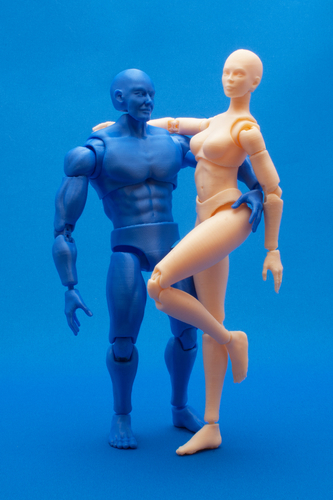 Articulated Poseable Female Figure 3D Print 247421
